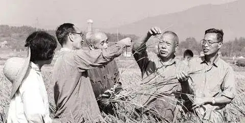 CA88(中国区)唯一官方网站
