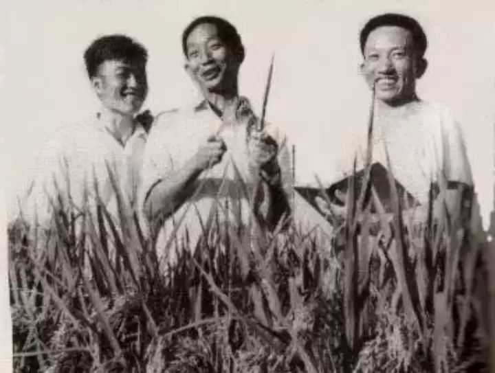 CA88(中国区)唯一官方网站