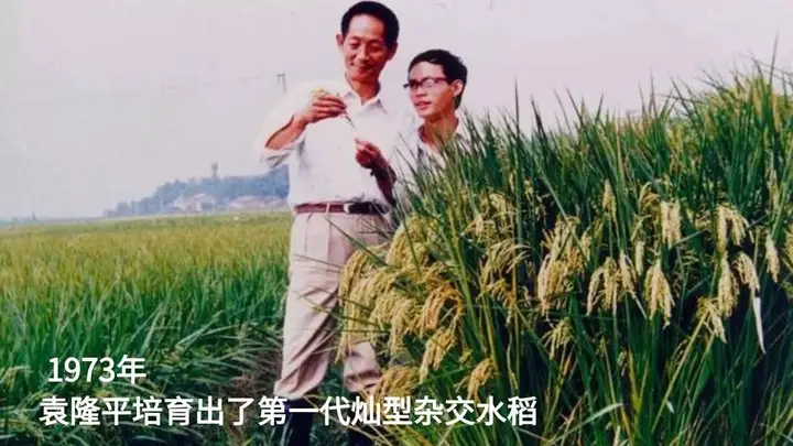 CA88(中国区)唯一官方网站